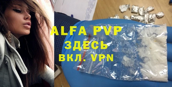 гидра Белокуриха