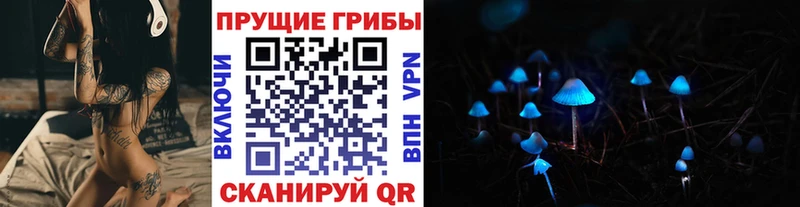 маркетплейс формула Светлогорск Псилоцибиновые грибы ЛСД