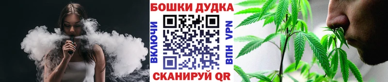 купить наркотик  Светлогорск  Бошки марихуана Amnesia 